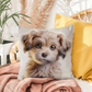 Dog Face |  Indoor/Outdoor Pillow 04