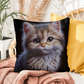 Cat Face | Indoor/Outdoor Pillow 03